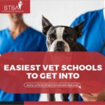 Unlocking Your Future: My Personal Journey to Veterinary Scholarships Abroad